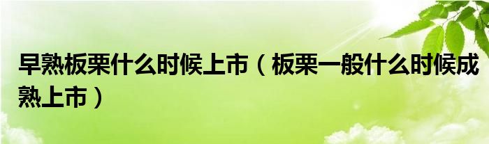 早熟板栗什么时候上市（板栗一般什么时候成熟上市）