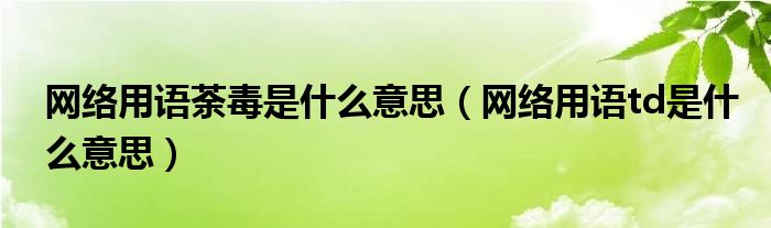 网络用语荼毒是什么意思（网络用语td是什么意思）