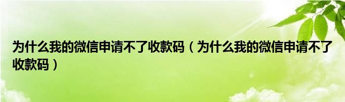 为什么我的微信申请不了收款码（为什么我的微信申请不了收款码）