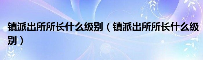 镇派出所所长什么级别（镇派出所所长什么级别）