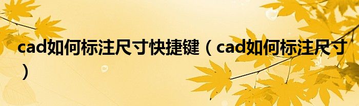 cad如何标注尺寸快捷键（cad如何标注尺寸）