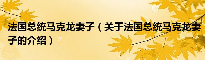 法国总统马克龙妻子（关于法国总统马克龙妻子的介绍）