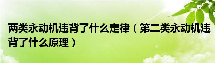 两类永动机违背了什么定律（第二类永动机违背了什么原理）