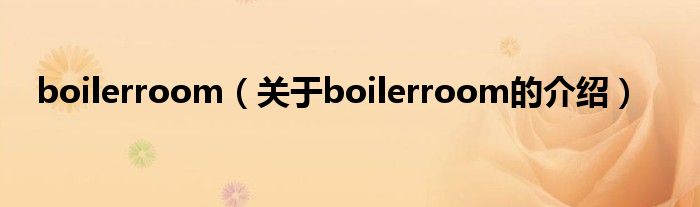 boilerroom（关于boilerroom的介绍）