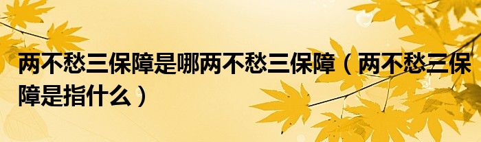 两不愁三保障是哪两不愁三保障（两不愁三保障是指什么）