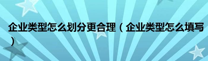 企业类型怎么划分更合理（企业类型怎么填写）