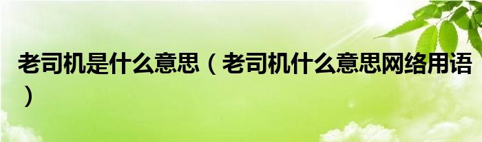 老司机是什么意思（老司机什么意思网络用语）