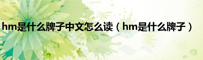 hm是什么牌子中文怎么读（hm是什么牌子）