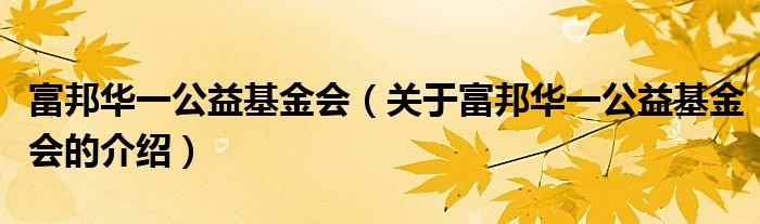 富邦华一公益基金会（关于富邦华一公益基金会的介绍）