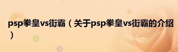 psp拳皇vs街霸（关于psp拳皇vs街霸的介绍）