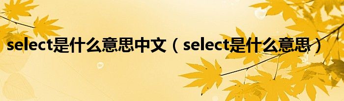 select是什么意思中文（select是什么意思）