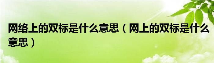 网络上的双标是什么意思（网上的双标是什么意思）