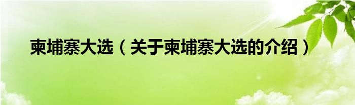 柬埔寨大选（关于柬埔寨大选的介绍）