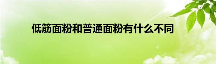 低筋面粉和普通面粉有什么不同