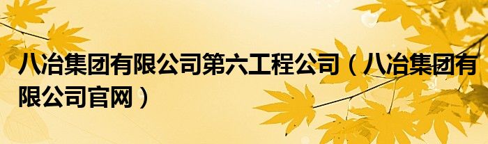 八冶集团有限公司第六工程公司（八冶集团有限公司官网）