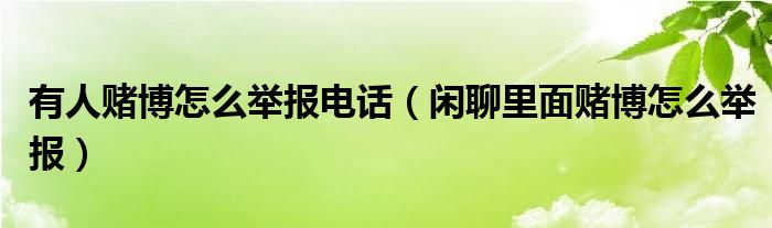 有人赌博怎么举报电话（闲聊里面赌博怎么举报）