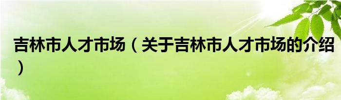 吉林市人才市场（关于吉林市人才市场的介绍）