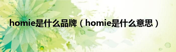 homie是什么品牌（homie是什么意思）