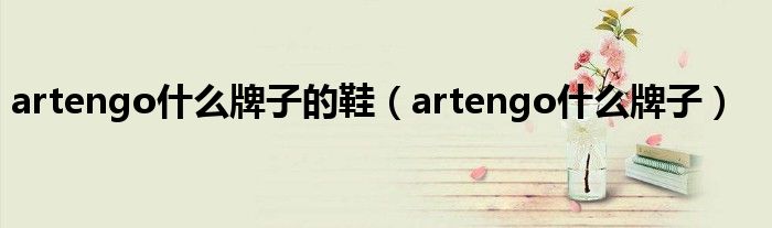 artengo什么牌子的鞋（artengo什么牌子）