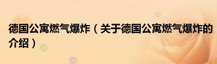 德国公寓燃气爆炸（关于德国公寓燃气爆炸的介绍）