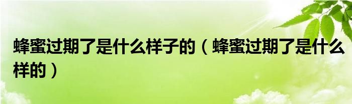 蜂蜜过期了是什么样子的（蜂蜜过期了是什么样的）