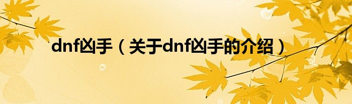 dnf凶手（关于dnf凶手的介绍）