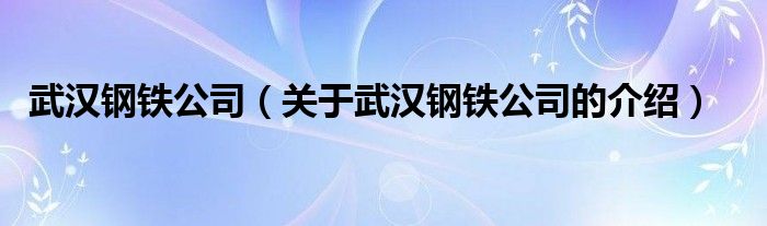 武汉钢铁公司（关于武汉钢铁公司的介绍）