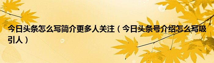 今日头条怎么写简介更多人关注（今日头条号介绍怎么写吸引人）