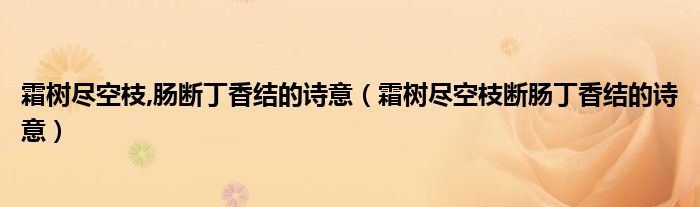 霜树尽空枝,肠断丁香结的诗意（霜树尽空枝断肠丁香结的诗意）