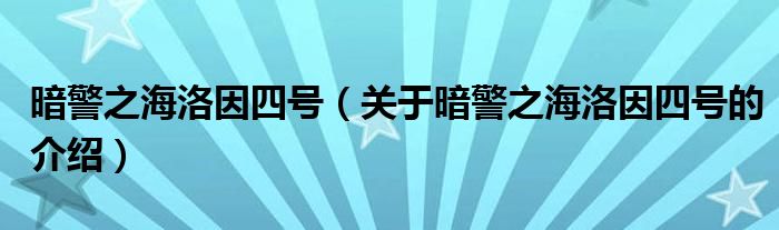 暗警之海洛因四号（关于暗警之海洛因四号的介绍）