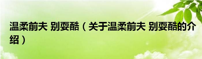 温柔前夫 别耍酷（关于温柔前夫 别耍酷的介绍）