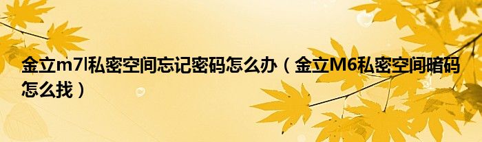 金立m7l私密空间忘记密码怎么办（金立M6私密空间暗码怎么找）