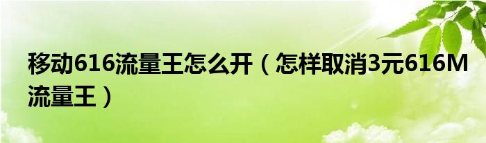 移动616流量王怎么开（怎样取消3元616M流量王）