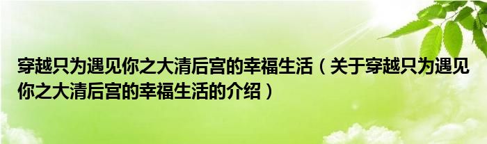 穿越只为遇见你之大清后宫的幸福生活（关于穿越只为遇见你之大清后宫的幸福生活的介绍）