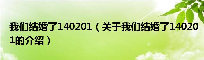 我们结婚了140201（关于我们结婚了140201的介绍）