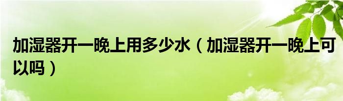 加湿器开一晚上用多少水（加湿器开一晚上可以吗）