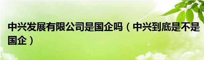 中兴发展有限公司是国企吗（中兴到底是不是国企）