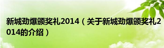 新城劲爆颁奖礼2014（关于新城劲爆颁奖礼2014的介绍）