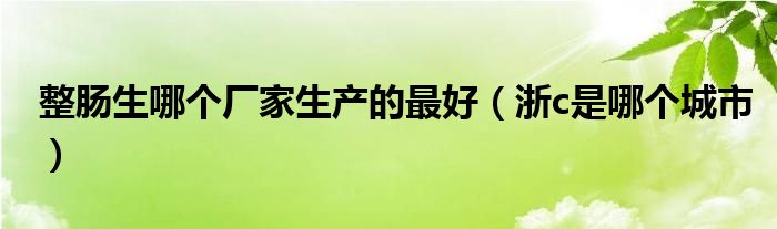 整肠生哪个厂家生产的最好（浙c是哪个城市）