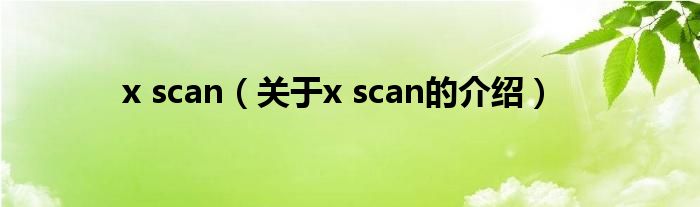 x scan（关于x scan的介绍）