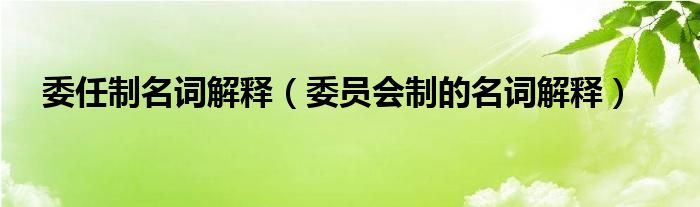 委任制名词解释（委员会制的名词解释）