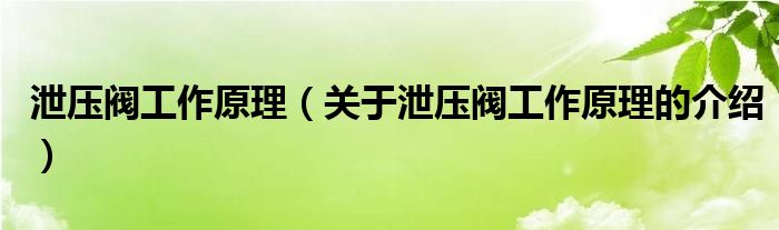 泄压阀工作原理（关于泄压阀工作原理的介绍）