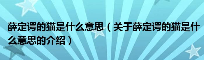 薛定谔的猫是什么意思（关于薛定谔的猫是什么意思的介绍）