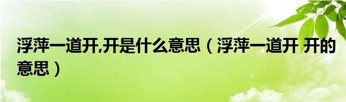 浮萍一道开,开是什么意思（浮萍一道开 开的意思）