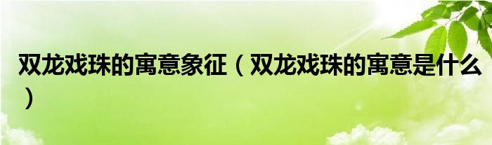 双龙戏珠的寓意象征（双龙戏珠的寓意是什么）