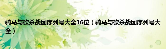 骑马与砍杀战团序列号大全16位（骑马与砍杀战团序列号大全）