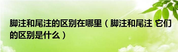 脚注和尾注的区别在哪里（脚注和尾注 它们的区别是什么）