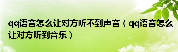 qq语音怎么让对方听不到声音（qq语音怎么让对方听到音乐）