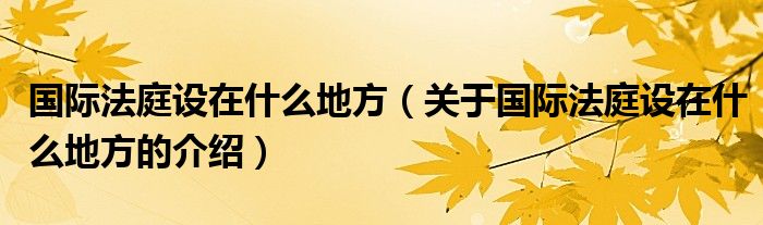 国际法庭设在什么地方（关于国际法庭设在什么地方的介绍）