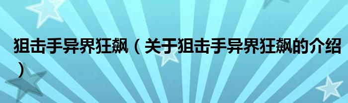 狙击手异界狂飙（关于狙击手异界狂飙的介绍）